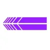 Adesivo auto specchi in vinile - 15.3 * 2 cm - 2 pezzi