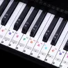 88 keys - Colourful piano notes - transparent keyboard stickersPiano
