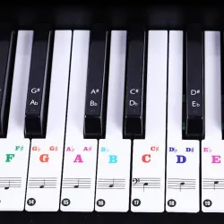 Piano88 teclas - Notas de piano colorido - pegatinas de teclado transparente