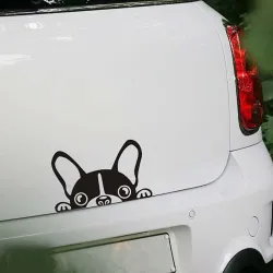 Vedenpitävä - vinyyli auto tarra koiran kasvot