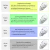 7 väriä LED sähköiset kasvot ja kaulan maski - akne hoito - valohoito