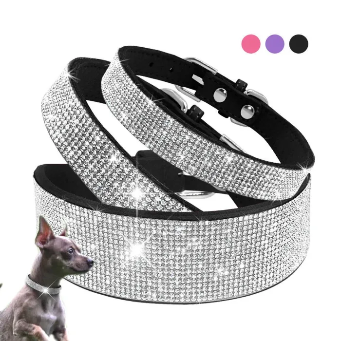 Läder krage med rhinestones för hundar och katter