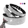 Colar de couro com strass para cães e gatos