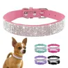 Lederhalsband mit Strasssteinen für Hunde und Katzen