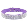 Colar de couro com strass para cães e gatos