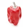 Pimenta verde e vermelho com strass - broche