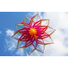 CometaKit de forma de flor 3D con mango y línea - 150 cm de diámetro