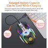 Wireless optical mouse - 1600DPI - USB - 2.0 receiverMuizen