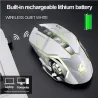 Wireless optical gaming mouse - rechargeable - silent - LED backlit - ergonomic