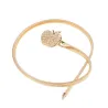 Sweet Apple Elastic Belt - Kvinnor