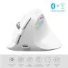 M618 - 2.4GHz - mini vertical wireless mouse - Bluetooth 4 - dual mode - rechargeable - silent - whiteMouses