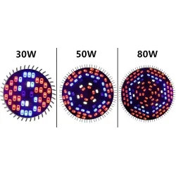 30W - 50W - 80W -100W - 120W - E27 - LED växt ljus - fullt spektrum