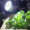 30W - 50W - 80W -100W - 120W - E27 - LED plant grow light - full spectrum