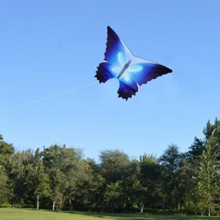 CometaButterfly hard-winged kite - nylon - al aire libre - kites - niños - juguetes