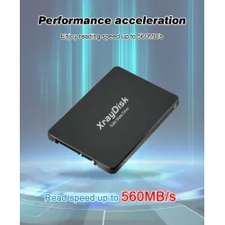 Disco rigido Xraydisk - 60GB - 120GB - 120GB - 240GB - 256GB - 480GB - 512GB - disco di stato solido interno