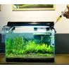 Aquarium - Plantes - Fertilisateur de Heathy - Boucles liquides - Réservoir
