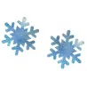 10 par - Nipple Covers - Snöflingor
