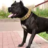Métal fort Chaîne pour chiens - Acier inoxydable - Grands chiens