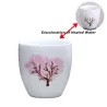 Décoloration de température chaude et froide - Sakura japonais