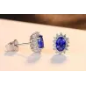 Luksuskorvat, joissa on kristallit - 925 sterling hopea