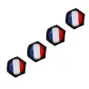 4pcs/set - valve caps - france logo