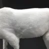 NavidadDecoración de Navidad - reno blanco - ciervo