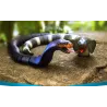 RC Cobra - serpente - USB - telecomando - animale robot - giocattolo