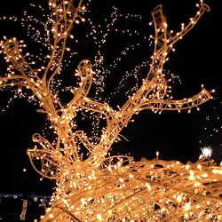 Decorazioni di Natale - Solar String - Fata Luci - Impermeabile