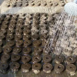 JardínPellets - suelo de nutrientes de semillas - para trasplantes / plantación - 3 piezas