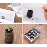 Torvpellets - utsäde näringsjord - för transplantering / plantering - 3 bitar