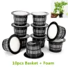 Mesh pot - basket - for hydroponic system plant / vegetable grow - with foam insert - 10 piecesGarden