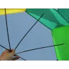 Cometaestrella de cinco puntos - cometa colorida