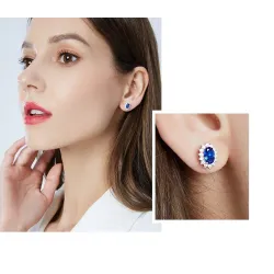 Luksuskorvat, joissa on kristallit - 925 sterling hopea
