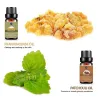 Olejki eteryczne do dyfuzora / nawilżacza / masażu / aromaterapii - 10ml - 16 sztukMasaż