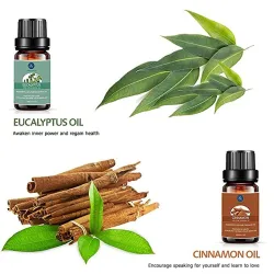 Eteeriset öljyt diffuser / kostutin / hieronta / aromaterapia - 10 ml - 16 kappaletta