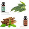 Essential oils for diffuser / humidifier / massage / aromatherapy - 10ml - 16 pieces