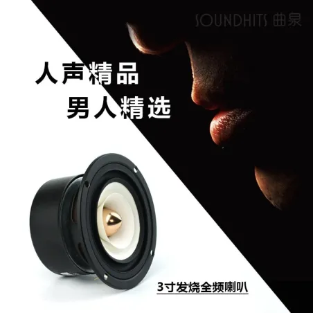 Haut-parleur complet de fréquence - 2PCS/lot