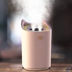 Luftbefeuchter - 3000ML - Doppeldüse - Cool Mist - Bunte LED
