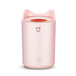 Luftbefeuchter - 3000ML - Doppeldüse - Cool Mist - Bunte LED