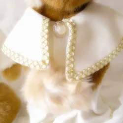 Animales de pelucheOso de peluche - Uniforme - Mujeres nobles