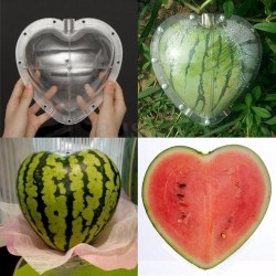 Square - Heart Shape - Watermelon Shaping