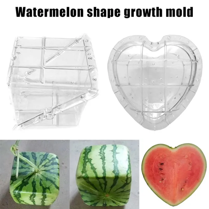 Watermelon Shaping Mold - Sydän - Square