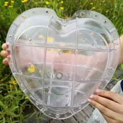 Watermelon Shaping Mold - Sydän - Square