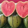 Molde de modelagem por melancia - Coração - Quadrado