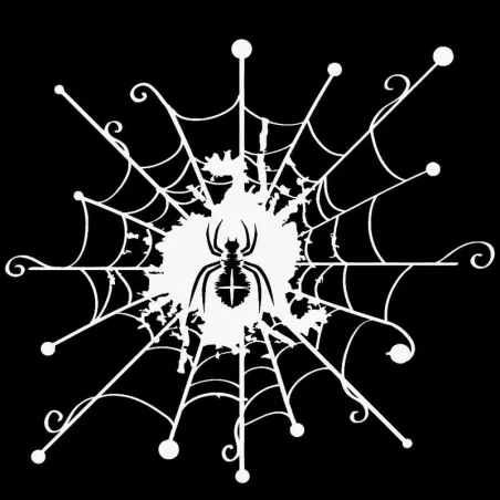 PegatinasCaricatura web con araña - pegatina de coche