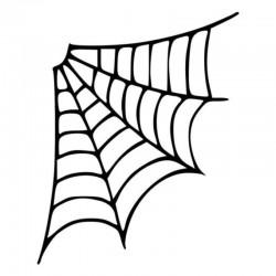 Spider web - auto sticker