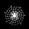 Spider auf einem Spinnennetz - Autoaufkleber