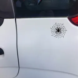 Spin op een spinnenweb - autostickerStickers