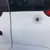 Ragno su una ragnatela - autoadesivo