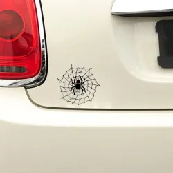 Ragno su una ragnatela - autoadesivo